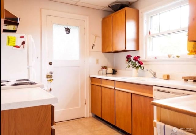 kitchen with sink, white appliances, and a drop ceiling