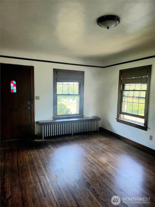 interior space featuring radiator heating unit and dark hardwood / wood-style floors