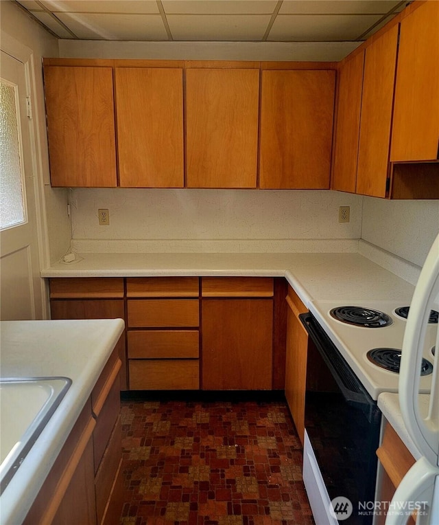 kitchen featuring a paneled ceiling, sink, and range with electric cooktop