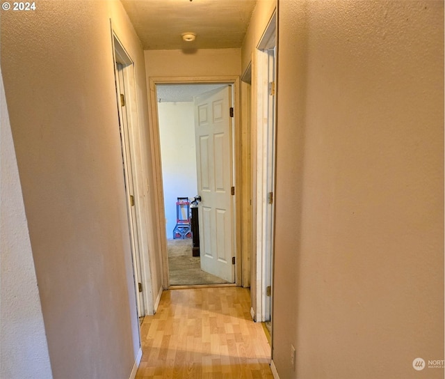 corridor with light wood-type flooring