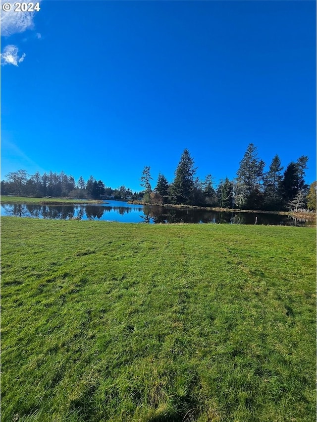 view of yard featuring a water view