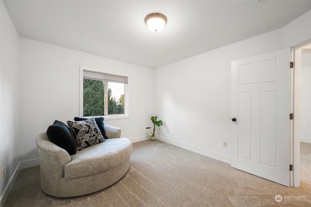 sitting room featuring carpet