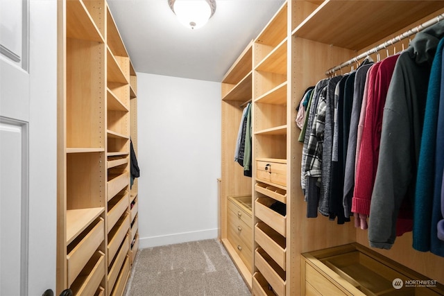 walk in closet featuring light carpet