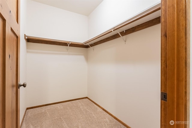 spacious closet featuring carpet flooring