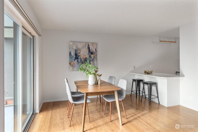 dining room with hardwood / wood-style floors