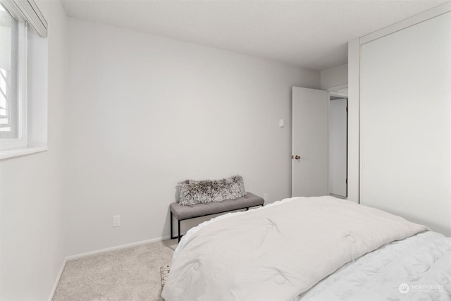 bedroom with light colored carpet