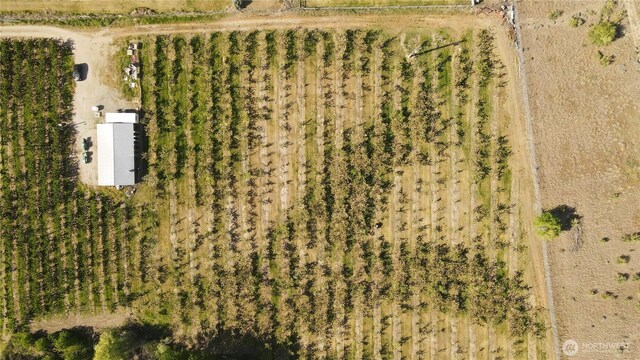82TBD Eastlake Rd, Oroville, WA 98844 - photo 13