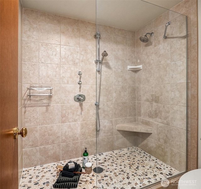 full bathroom with a stall shower