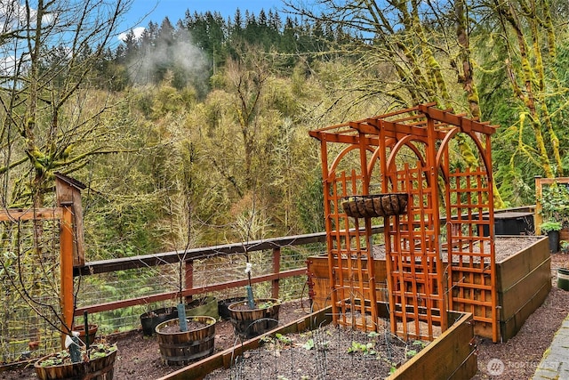 view of playground with a forest view and a vegetable garden