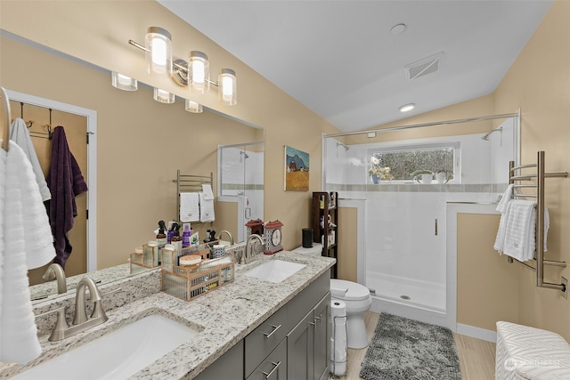 bathroom with walk in shower, lofted ceiling, toilet, and vanity