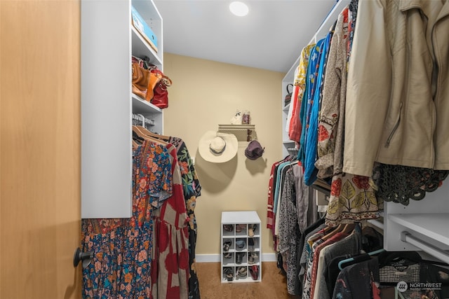 view of walk in closet