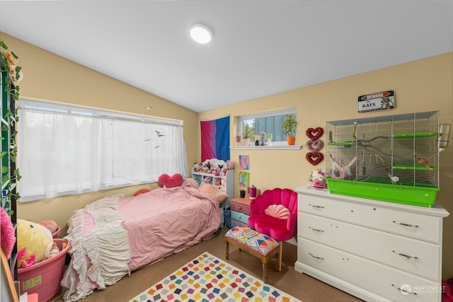 bedroom featuring vaulted ceiling