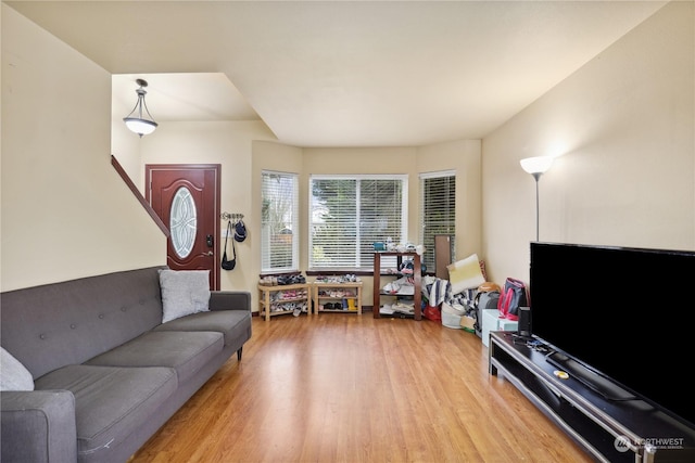 living room with wood-type flooring