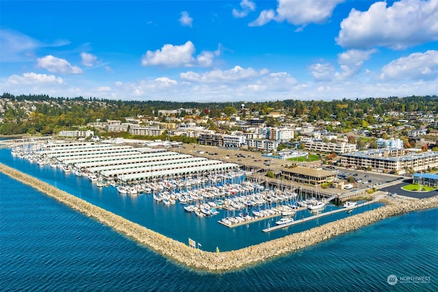 birds eye view of property with a water view