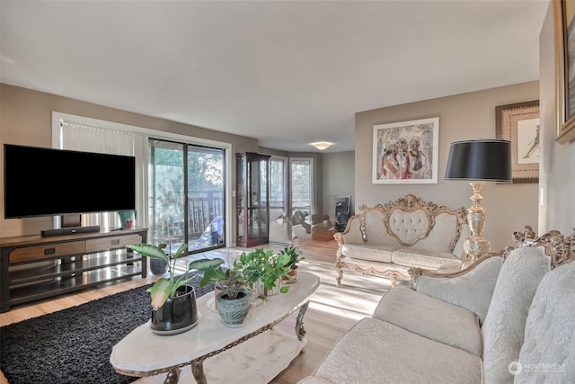 living room featuring hardwood / wood-style flooring