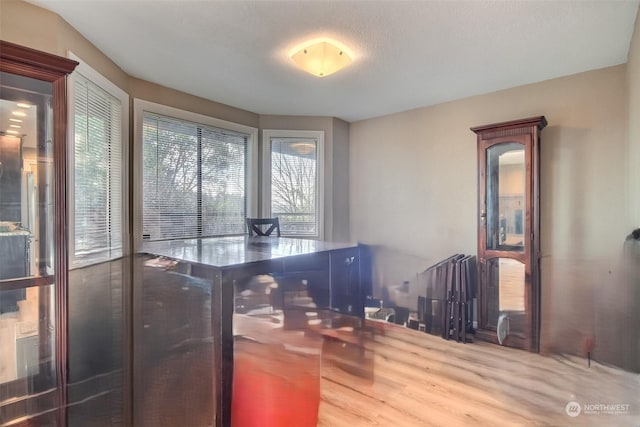 washroom featuring hardwood / wood-style floors