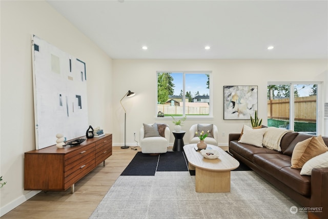 living room featuring light hardwood / wood-style flooring