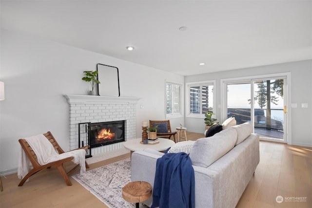 living room featuring a fireplace and light wood-type flooring