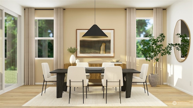 dining area with light hardwood / wood-style flooring