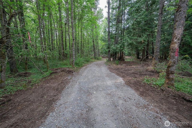 15718 153rd Ave SE, Yelm, WA 98597 - photo 2