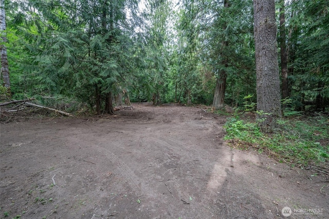 15718 153rd Ave SE, Yelm, WA 98597 - photo 3