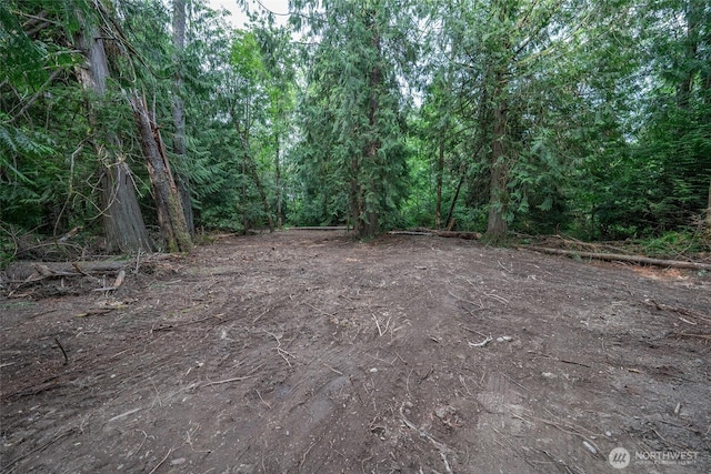 15718 153rd Ave SE, Yelm, WA 98597 - photo 4