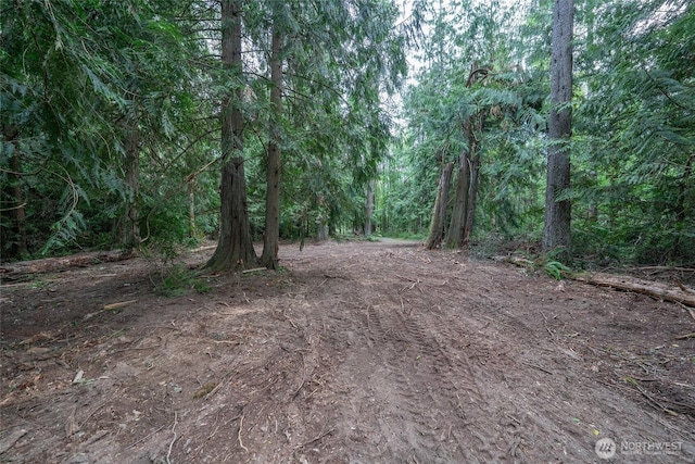 15718 153rd Ave SE, Yelm, WA 98597 - photo 5
