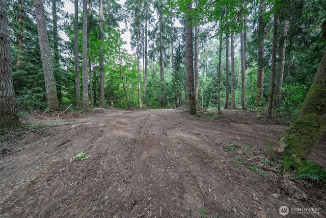 15718 153rd Ave SE, Yelm, WA 98597 - photo 7