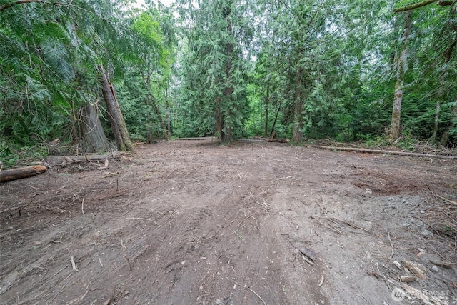 15718 153rd Ave SE, Yelm, WA 98597 - photo 8