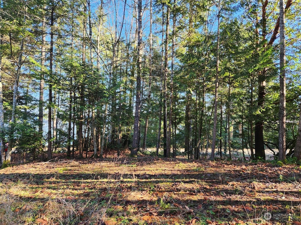 0 Archery Ln, Brinnon, WA 98320 - photo 3