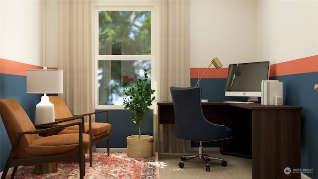 view of carpeted office