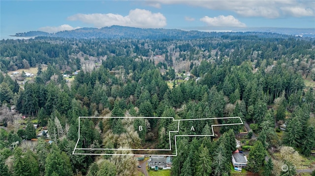 5382 New Sweden Ave NE, Bainbridge Island WA, 98110 land for sale