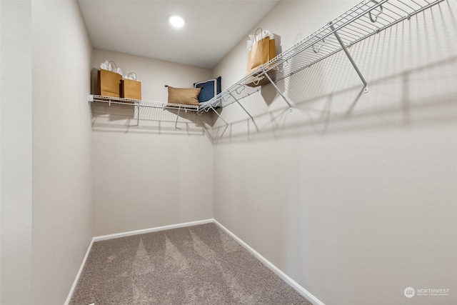 spacious closet featuring carpet flooring