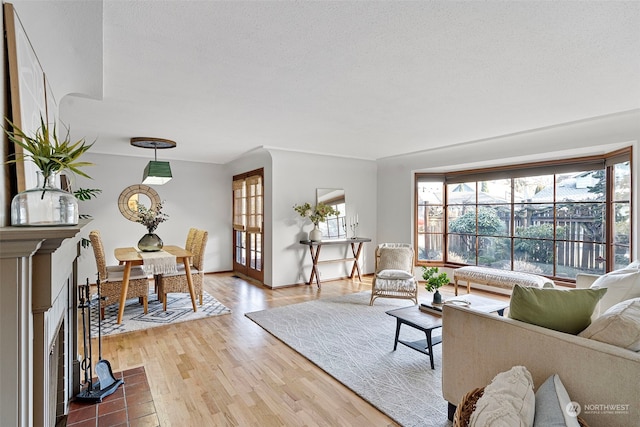 living room featuring hardwood / wood-style floors and a textured ceiling