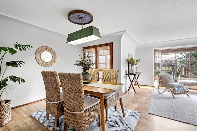 dining space featuring light hardwood / wood-style flooring and a textured ceiling