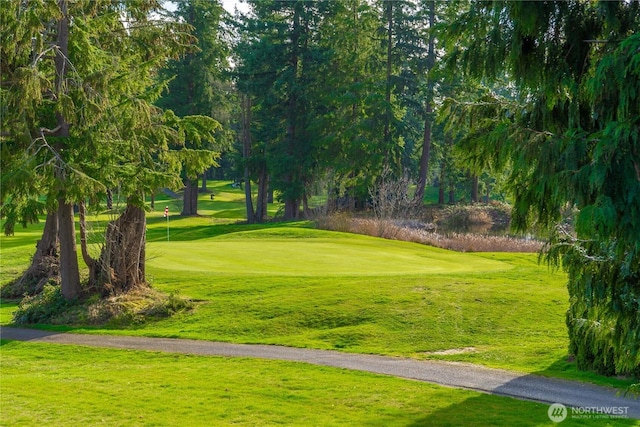 view of home's community with a lawn