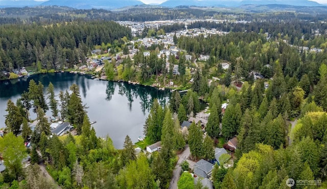 drone / aerial view featuring a forest view and a water and mountain view