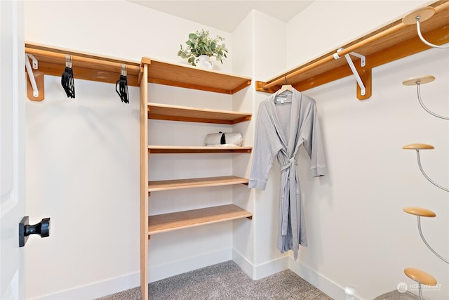 walk in closet featuring carpet floors