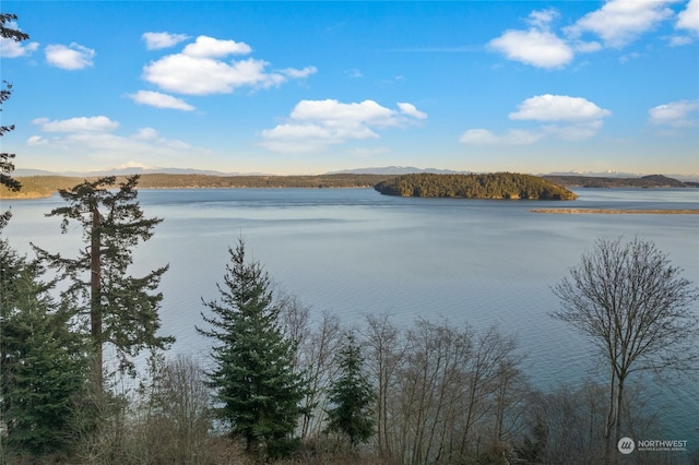 property view of water with a mountain view