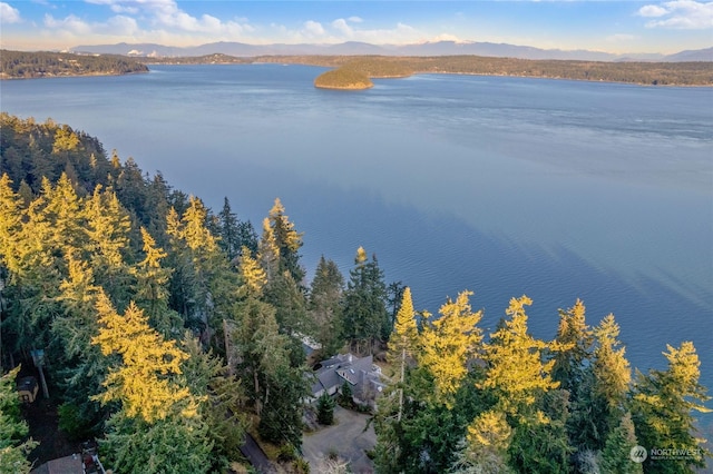 drone / aerial view with a water and mountain view