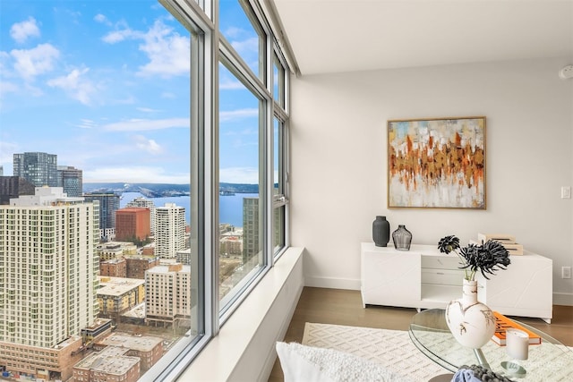 interior space with dark hardwood / wood-style flooring, a wall of windows, and a water view