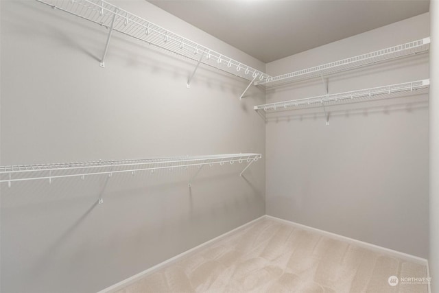 spacious closet with carpet floors