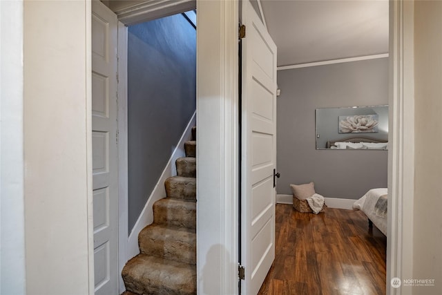 stairway with crown molding and wood-type flooring