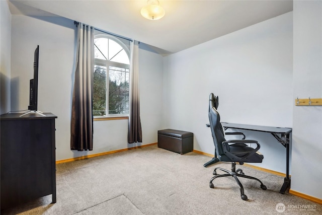 office space featuring baseboards and carpet floors