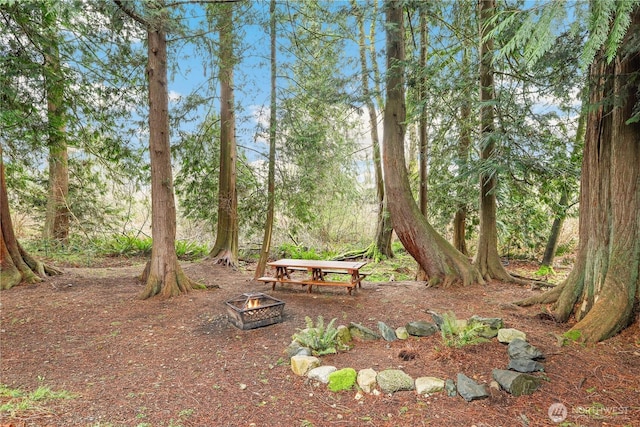 view of yard featuring a fire pit