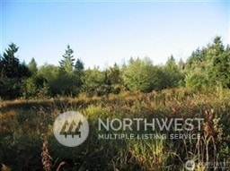 0 Avery Rd E, Chehalis WA, 98532 land for sale