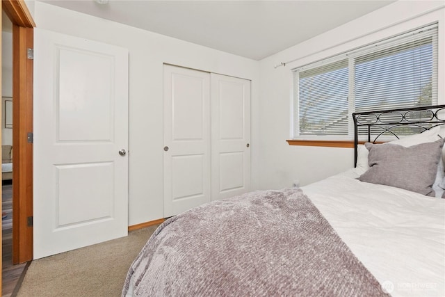 bedroom featuring a closet and carpet flooring