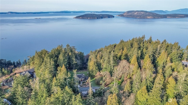 drone / aerial view with a water and mountain view