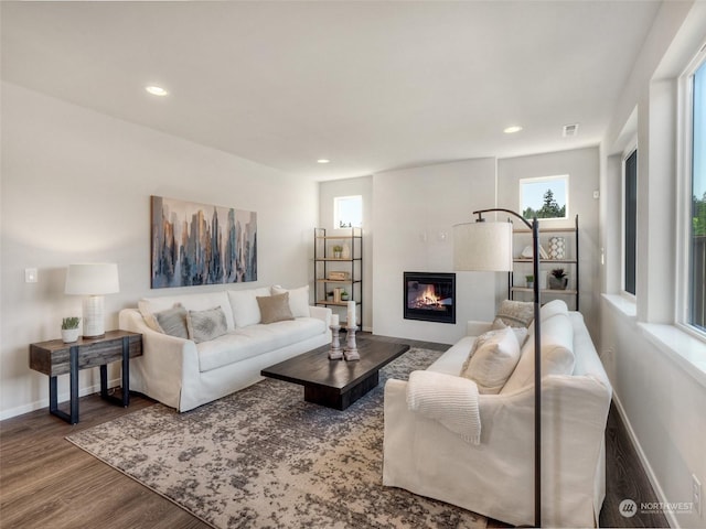 living room with hardwood / wood-style floors