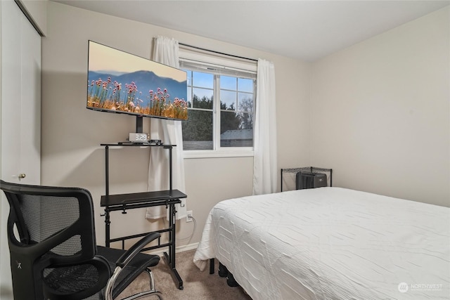 bedroom featuring carpet